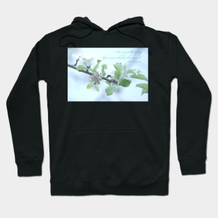 In a gentle way, you can shake the world - Ghandi Hoodie